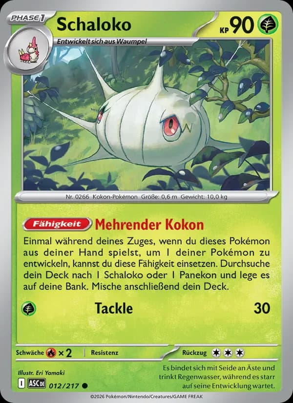 Schaloko