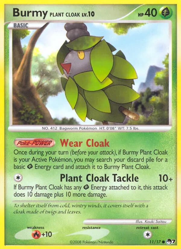 Cheniti Cape Plante