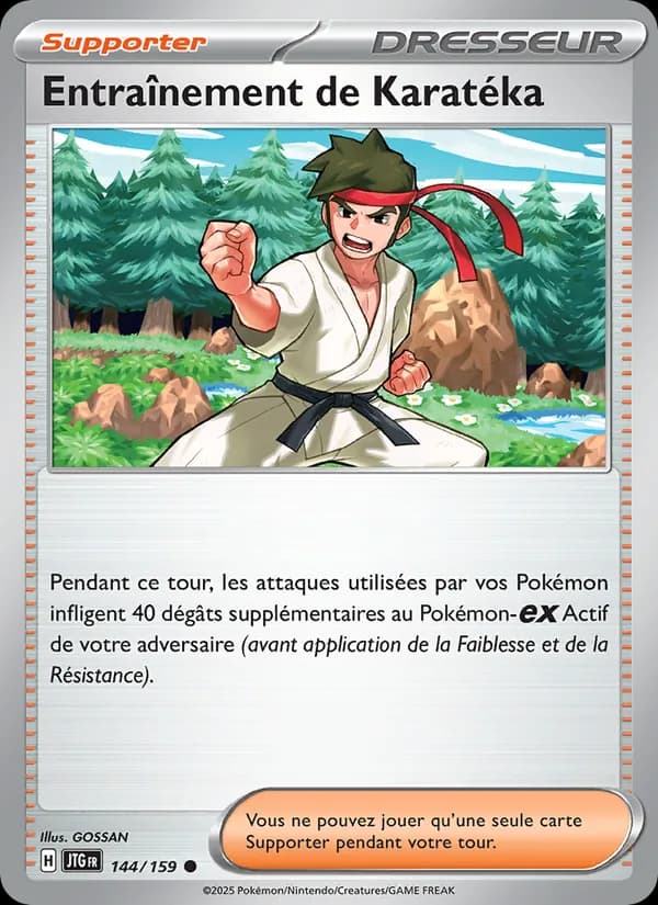 Entraînement de Karatéka